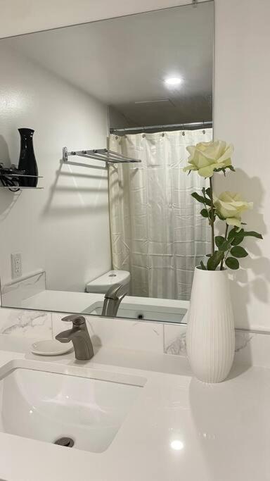 Unit #303 Mountain View 1Br In Canmore Downtown Exterior photo